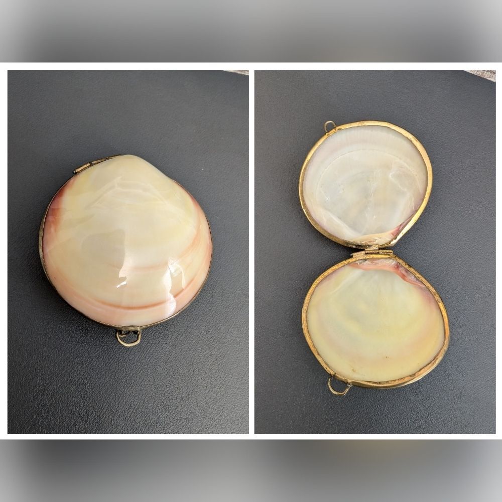 Hand Crafted Polished Tiger Clam and Brass Trinket Box